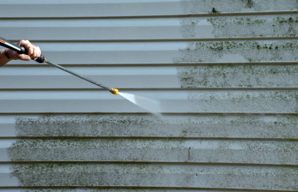 Best Commercial Mold Removal  in Silsbee, TX