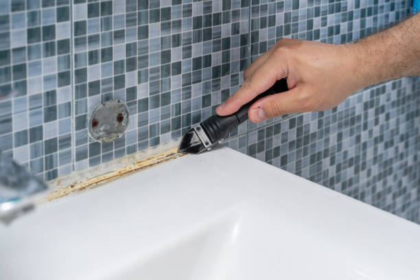 Best Emergency Mold Removal  in Silsbee, TX