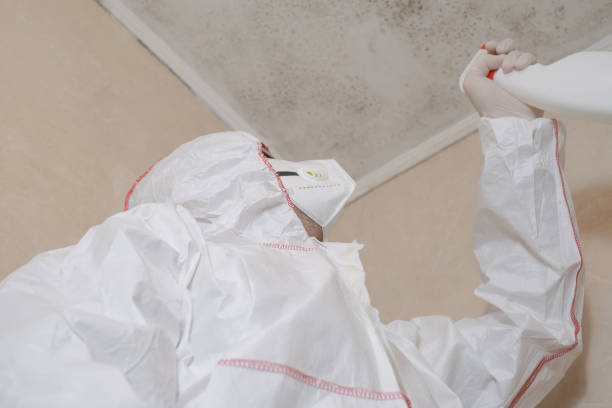 Best Crawl Space Mold Removal  in Silsbee, TX